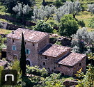 Alte Finca mit Olivenbäumen